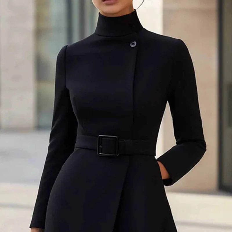Autumn Winter Turtleneck Solid A-Line Dress Elegant Button High Waist Pocket Office Dress Woman Long Sleeve Casual Party Dresses - Image 5